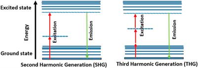 Nonlinear Optical Properties of CdSe and CdTe Core-Shell Quantum Dots and Their Applications